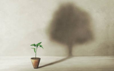 Si pudiera vivir mi vida otra vez