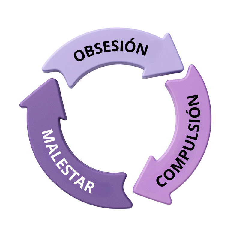 ERP como tratamos el toc