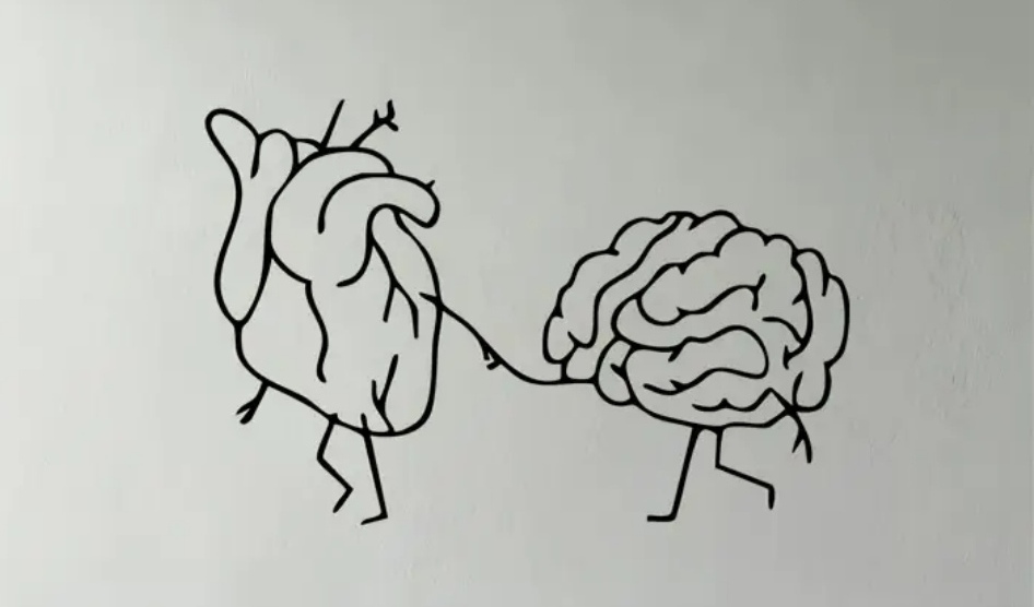 Cerebro y emociones: cómo se generan las respuestas emocionales
